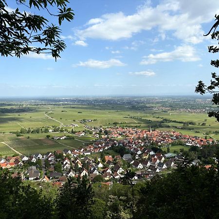 Ferienwohnung Am Ringelsberg Frankweiler Extérieur photo