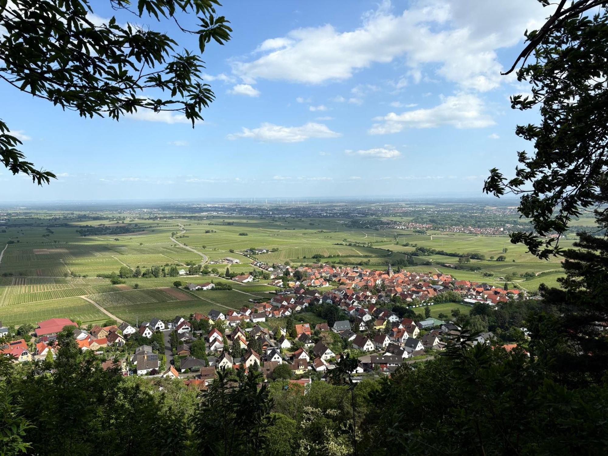 Ferienwohnung Am Ringelsberg Frankweiler Extérieur photo
